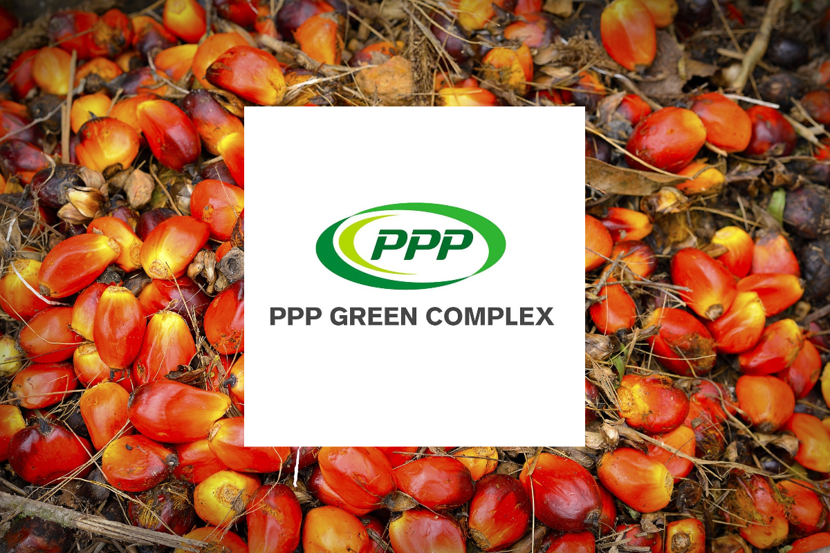PPPGC ก.ล.ต.นับหนึ่งไฟลิ่งขายไอพีโอ 342.8 ล้านหุ้น