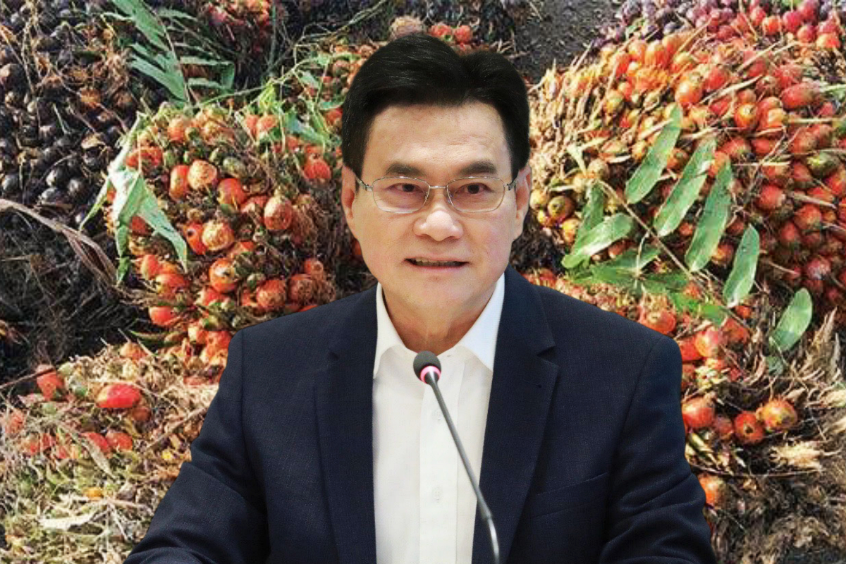 จุรินทร์ ชู พ.ร.บ.ปาล์มยั่งยืน แก้ปัญหาแบบครบวงจร