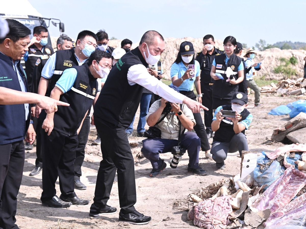 “เฉลิมชัย” ฝังทำลายหมูเถื่อน 7 แสนกิโลกรัม มากที่สุดเป็นประวัติการณ์