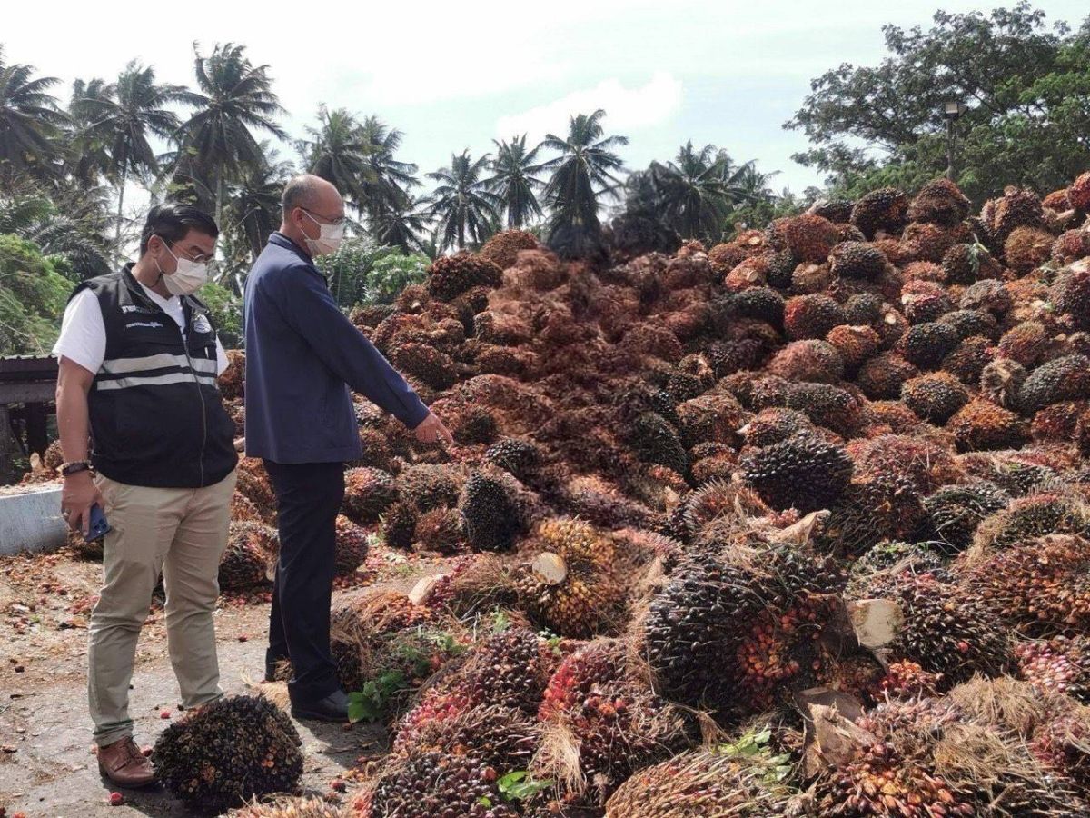 พาณิชย์ ร่วมมือ กอ.รมน.ตำรวจทางหลวง จับผู้ลักลอบขนย้ายน้ำมันปาล์ม