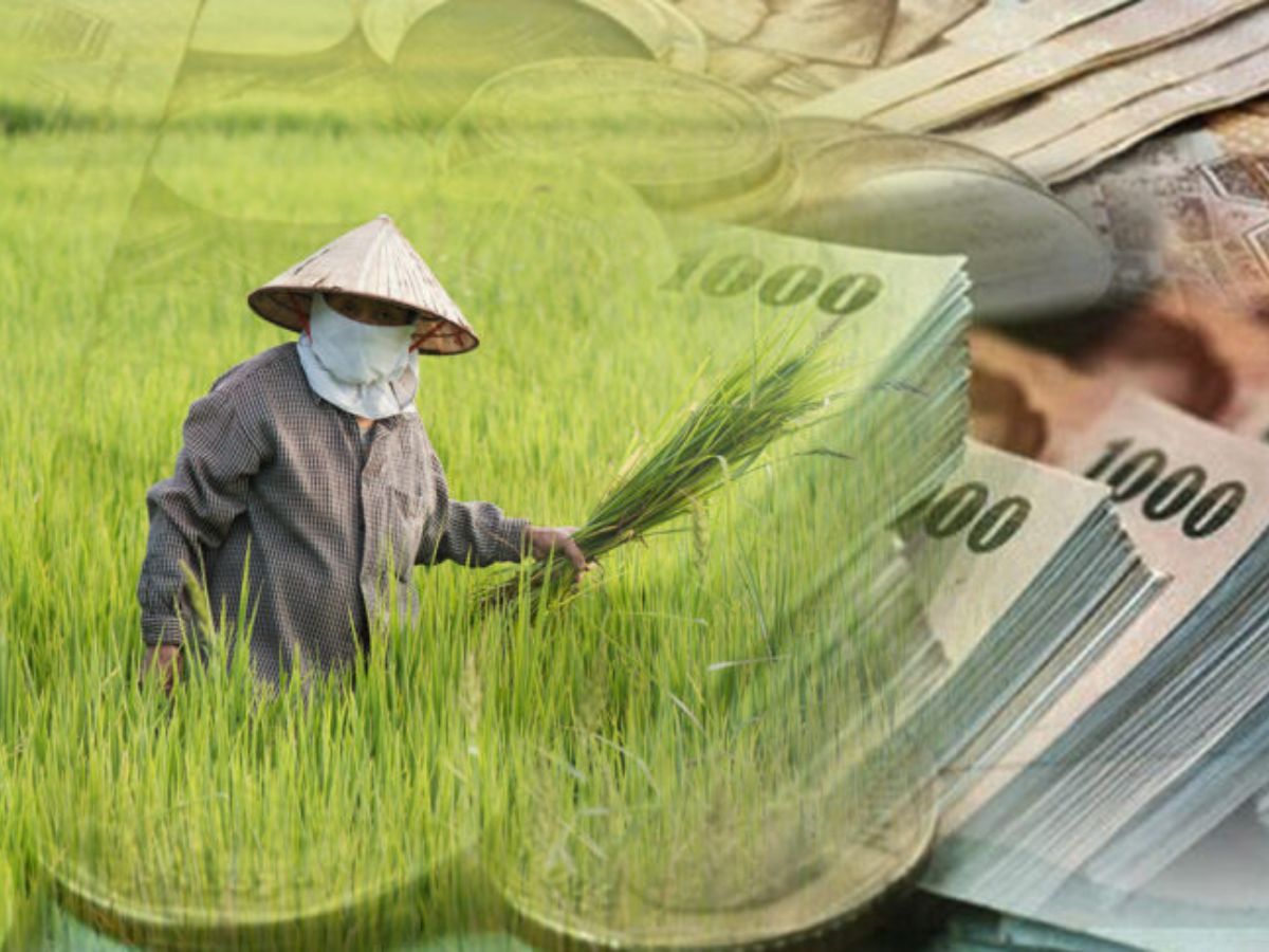เกษตรกรภาระเพิ่ม ธ.ก.ส. ปรับขึ้นดอกเบี้ยเงินกู้ 0.125-0.25%