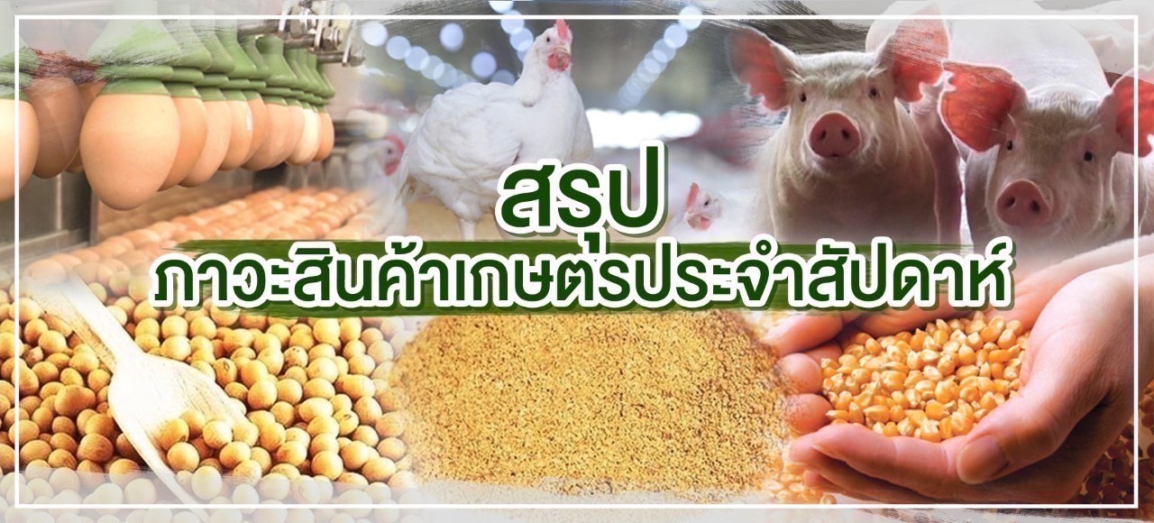 สรุปภาวะสินค้าเกษตรประจำสัปดาห์ วันที่ 9-13 มกราคม 2566