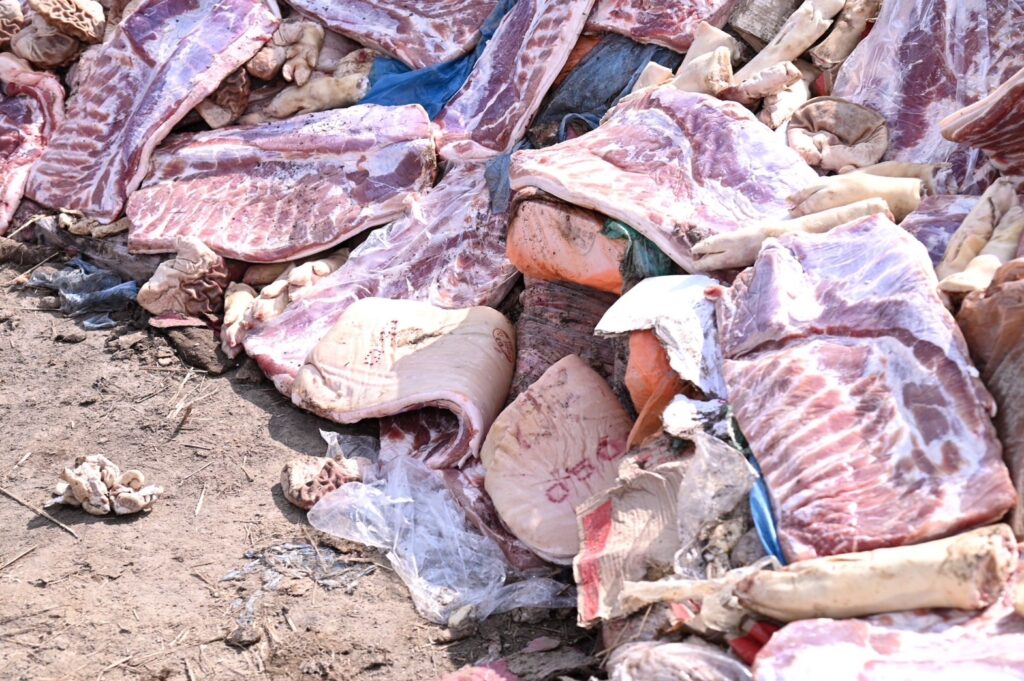 ทำลายหมูเถื่อน