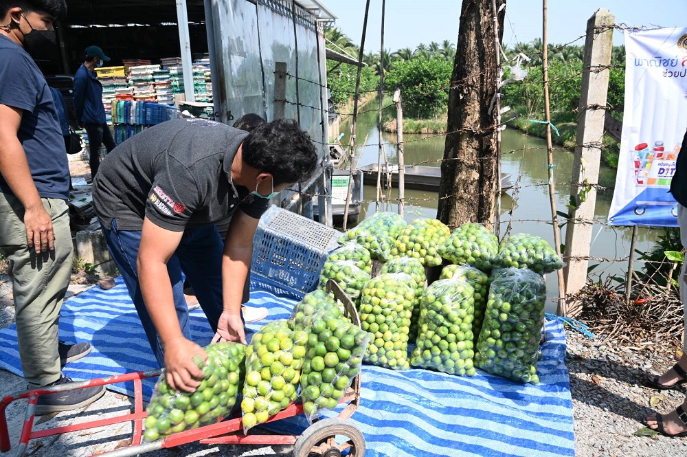 มะนาว ราชบุรี