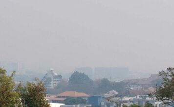 ฝุ่น PM 2.5 เชียงใหม่