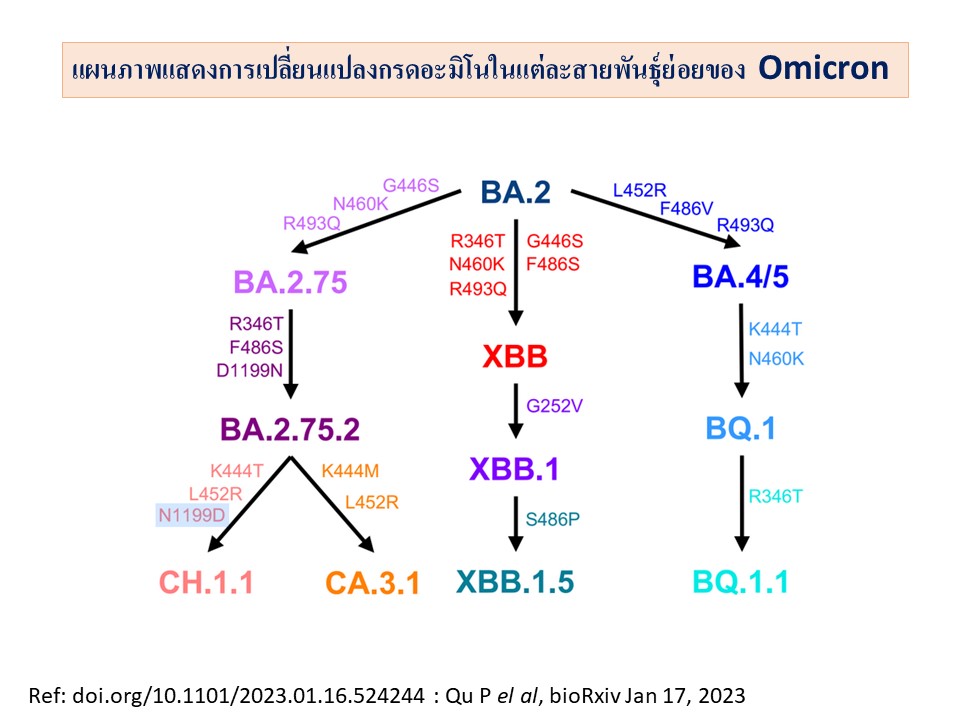 โควิด-19