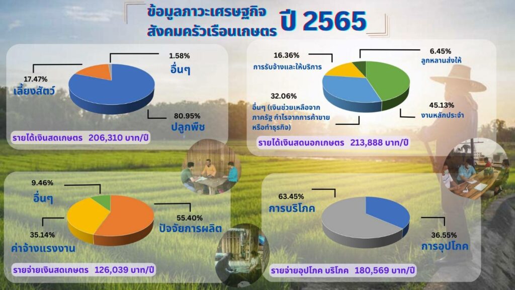 ข้อมูลภาวะเศรษฐกิจสังคมครัวเรือนเกษตรปี 2565