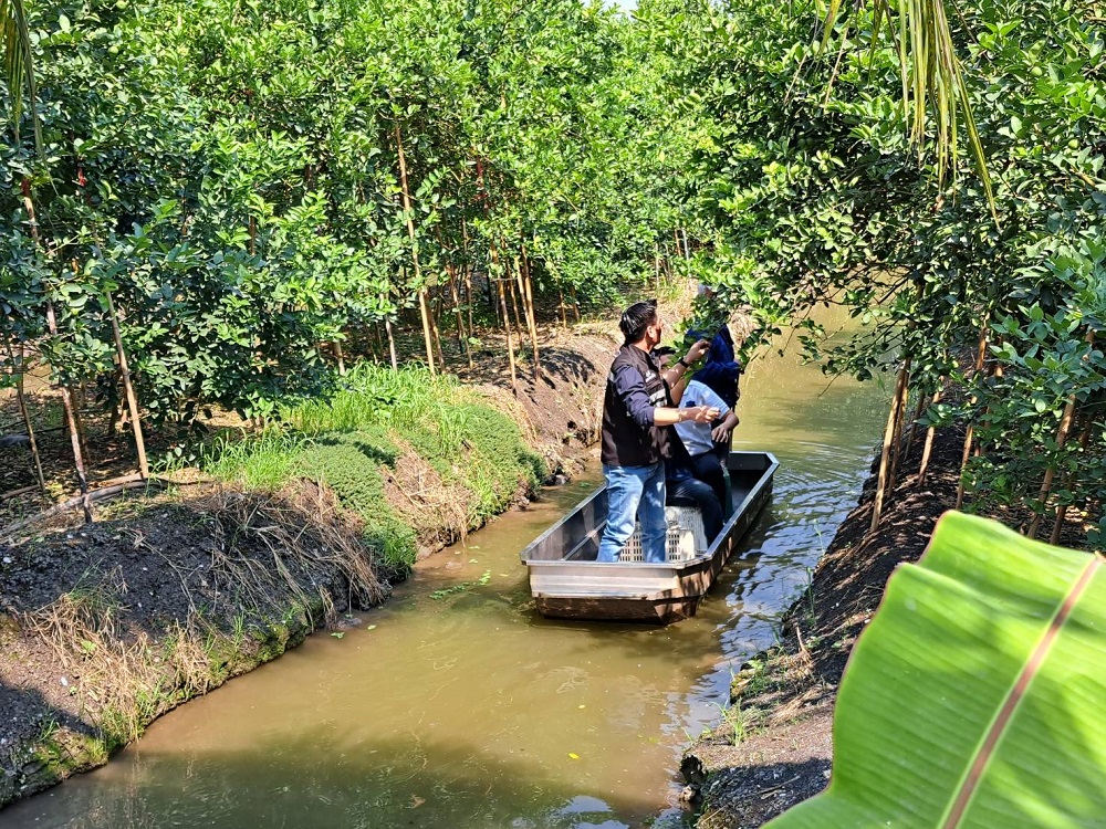 สวนมะนาว ราชบุรี