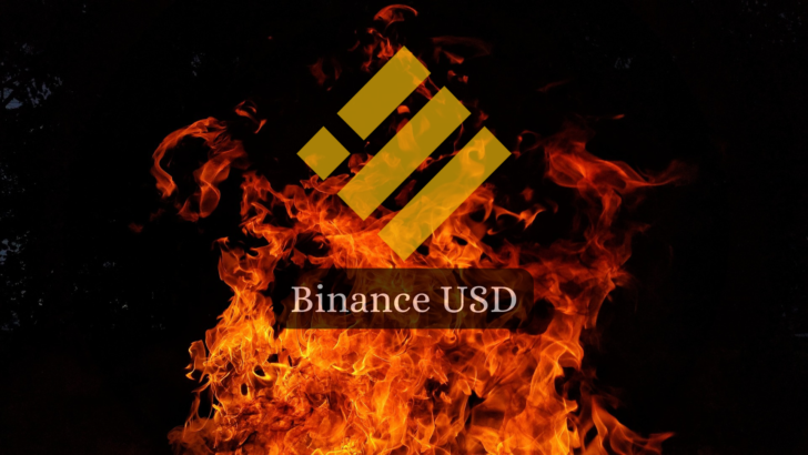 BUSD