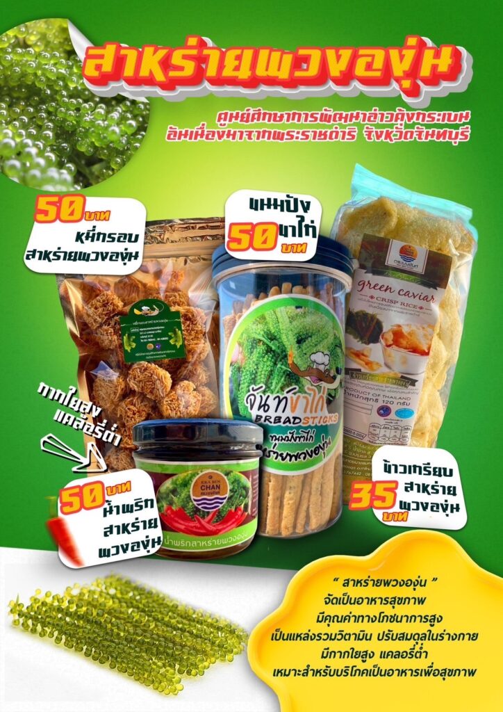 สาหร่ายพวงองุ่น