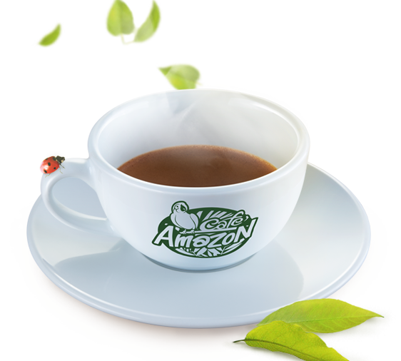 กาแฟ คาเฟ่ อเมซอน