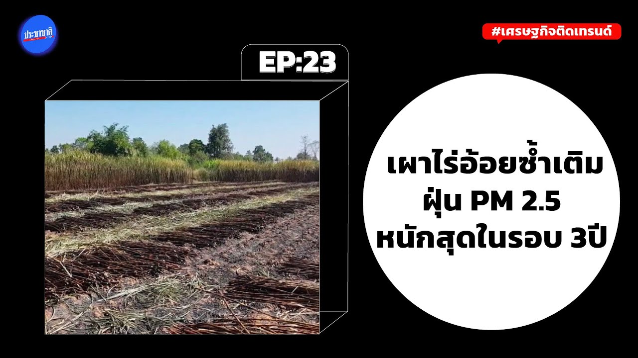 เคาะราคาอ้อยขั้นต้นปี’65/66 ตันละ 1,080 บาท พบลอบเผาอ้อยกว่า 15 ล้านตัน