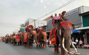 สุรินทร์