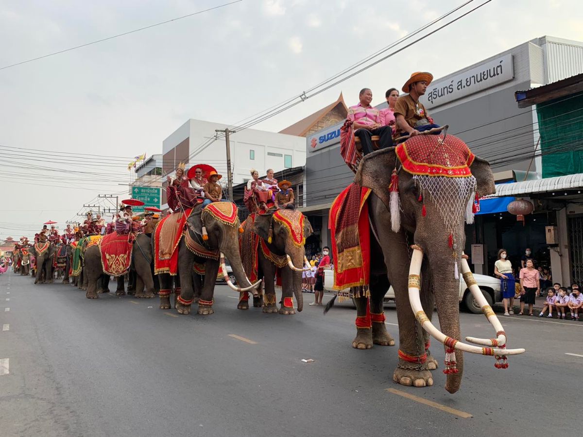สุรินทร์จัดจดทะเบียนสมรสบนหลังช้าง แห่งเดียวในโลก ประจำปี 2566