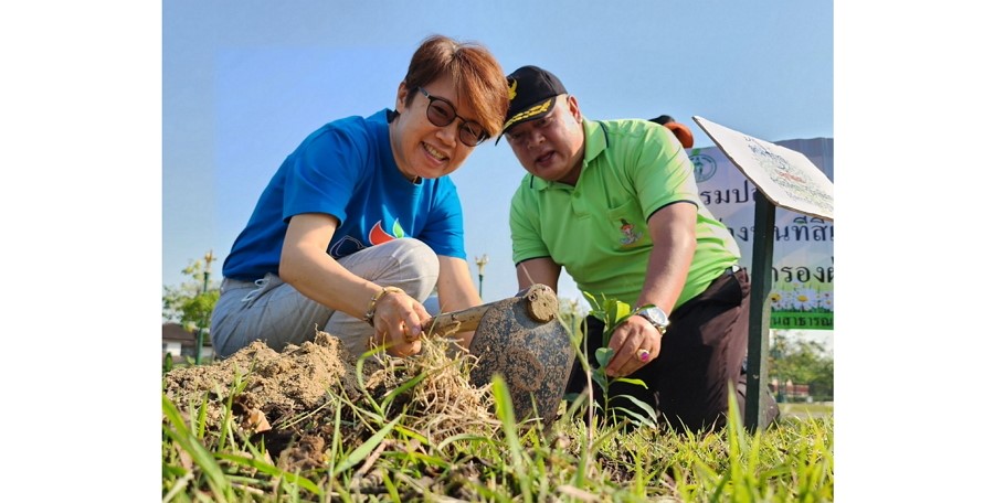 สำนักงานเขตทวีวัฒนา จับมือชมรมจิตสาธารณะ ซีพี ออลล์ และพนักงานเซเว่น อีเลฟเว่น สร้างพื้นที่สีเขียว และกำแพงกรองฝุ่นทั่วกรุง
