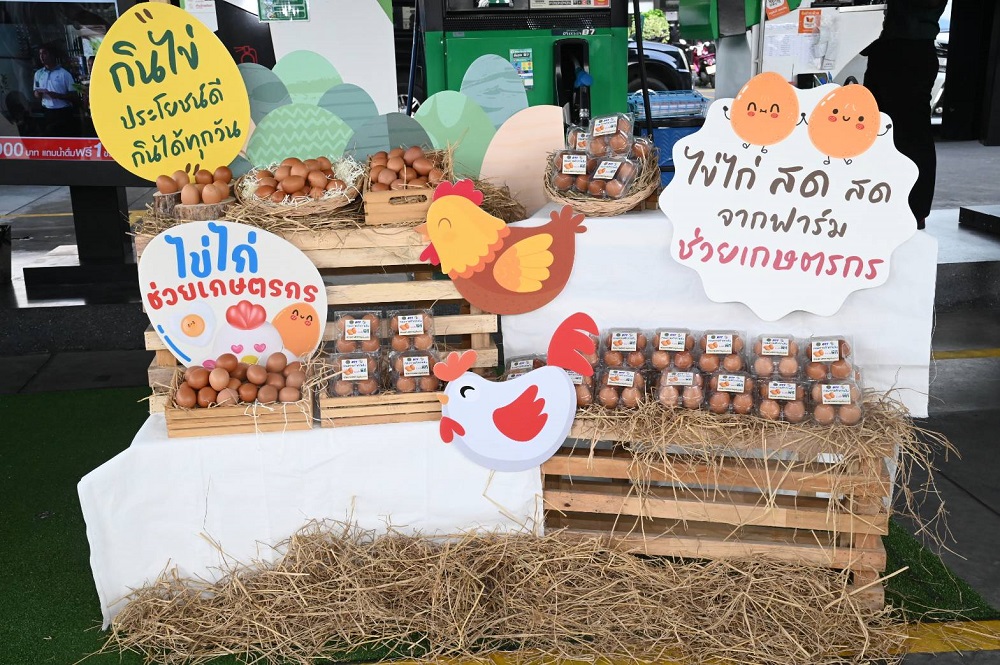 เติมน้ำมัน ปั้ม PT-PTT Station-บางจาก รับไข่ไก่ ถึง 19 มีนาคม 2566 นี้