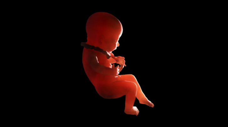 2b82d8d0-c0c1-11ed-95f8-0154daa64c44.png