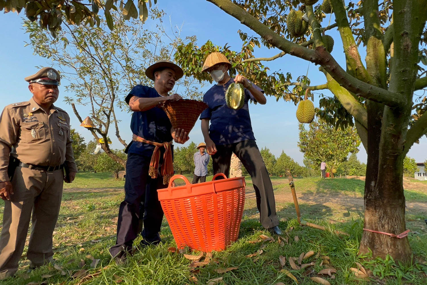 ทุเรียน