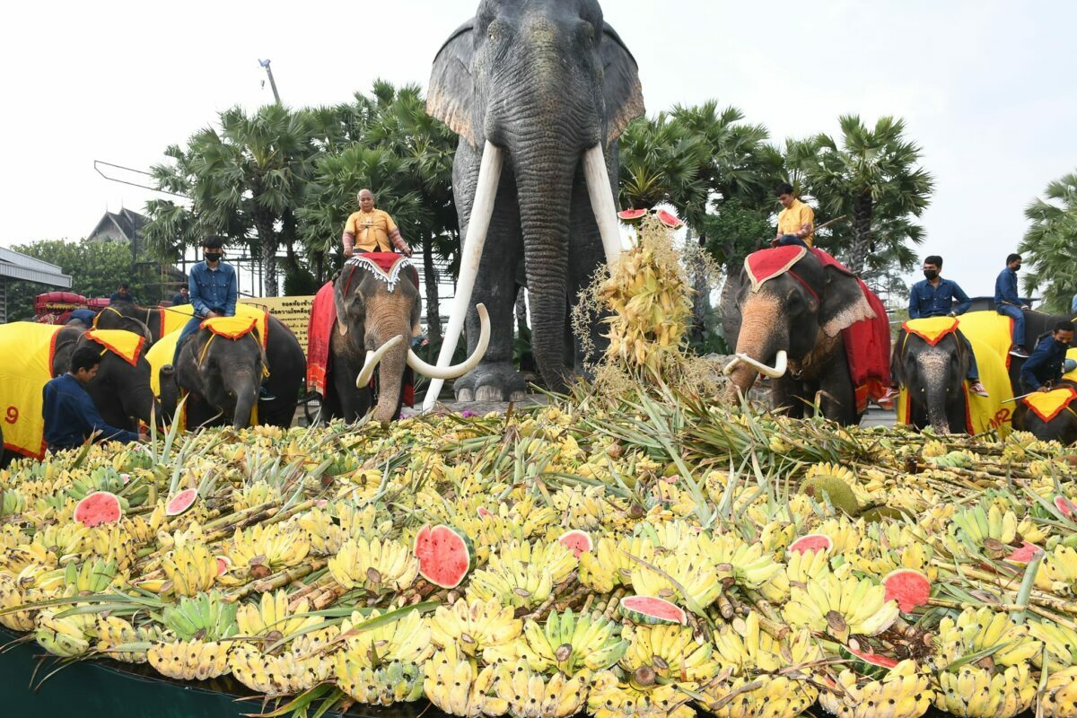สวนนงนุชพัทยา จัดขบวน “คชคชาคู่บารมี” วันช้างไทย