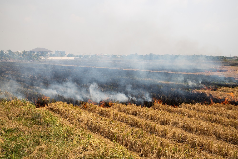 ค่าฝุ่น PM2.5 ประเทศไทยวันนี้ (20 มี.ค.) เกินมาตรฐาน 18 จังหวัด