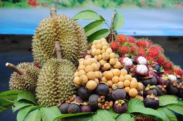 จับตานำเข้าผลไม้เพื่อนบ้าน 12 ชนิด สวมสิทธิถิ่นกำเนิดไทย ส่งออกจีน