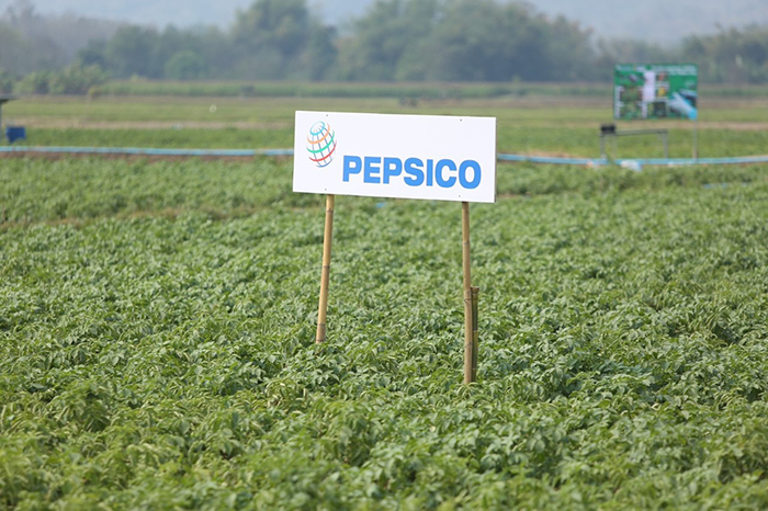 pepsico pepsico