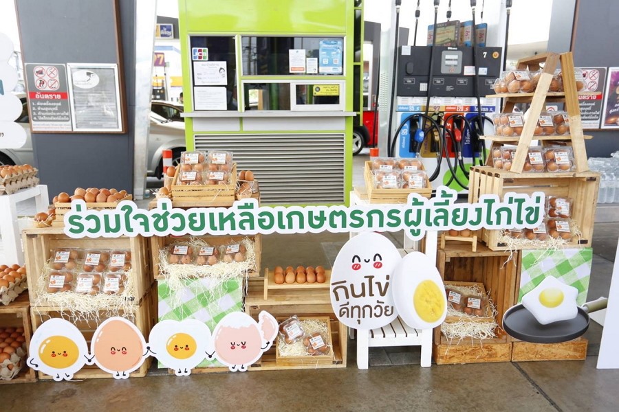 กรมการค้าภายใน จับมือ 3 ปั๊ม ช่วยเกษตรกรผู้เลี้ยงไก่ไข่ และลดภาระค่าครองชีพแก่ผู้บริโภค