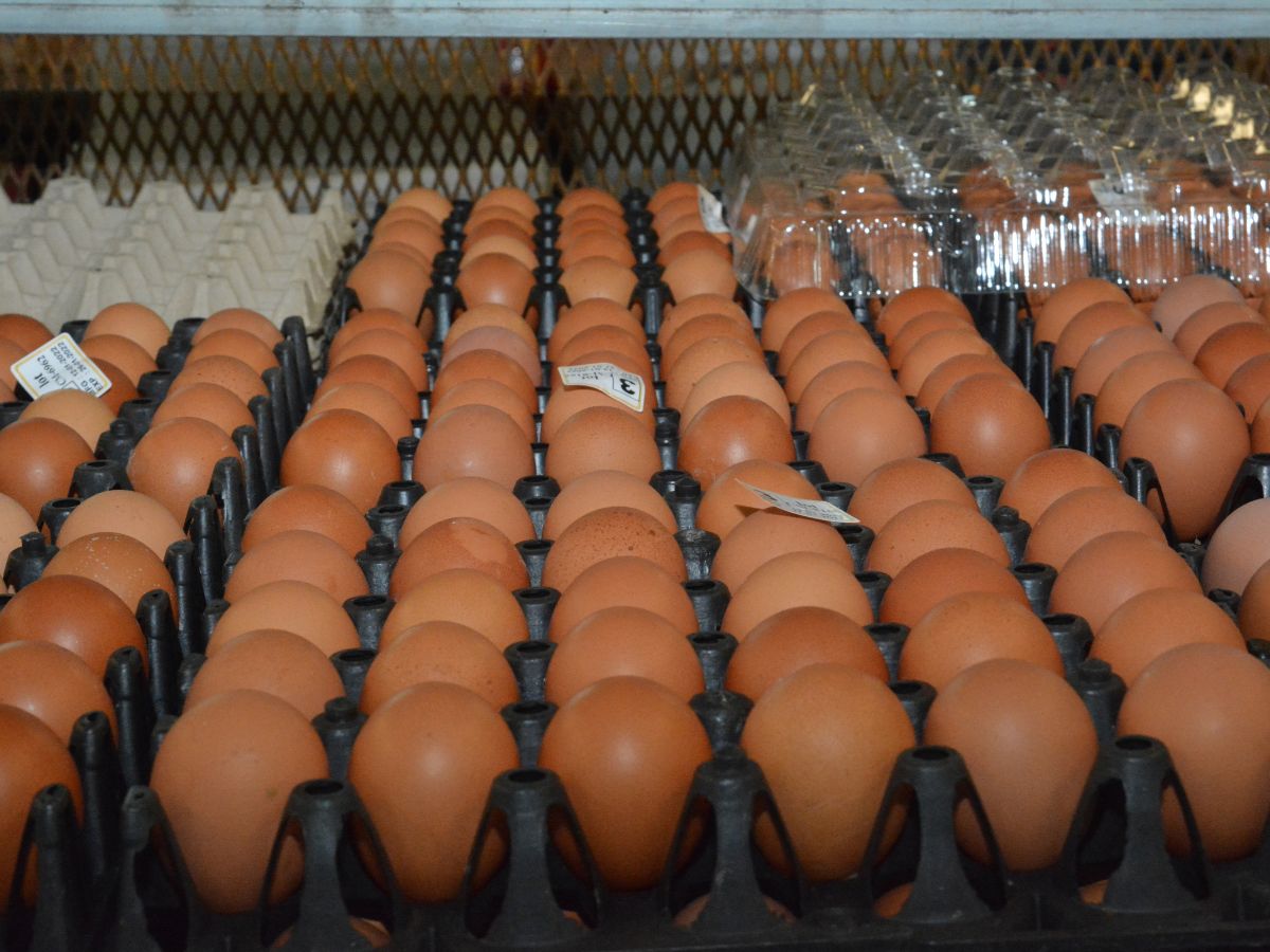 ไข่ไก่ ขึ้นแผงละ 6 บาท จ.อุทัย สอดคล้องตามต้นทุน ยันไม่ได้ปรับราคา