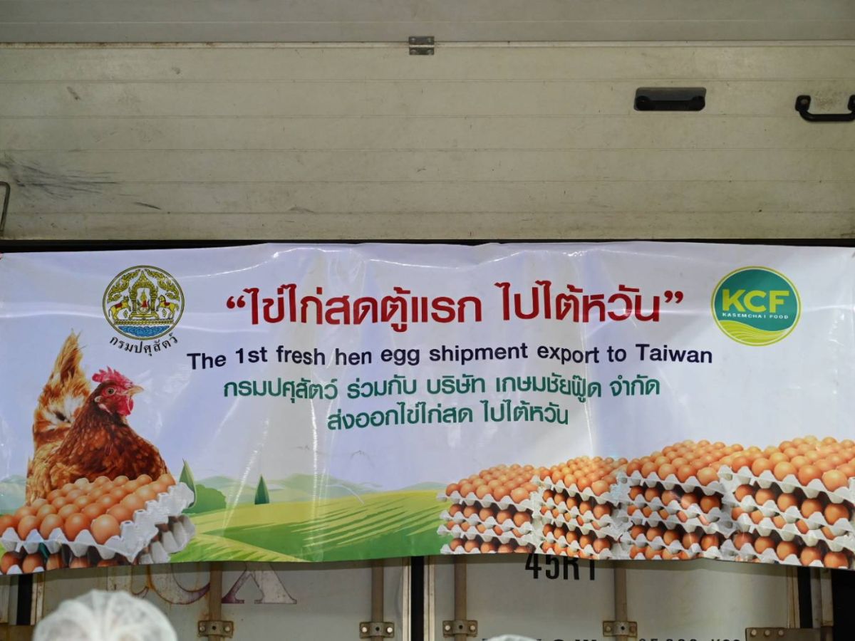 ส่งออกไข่ไก่ไปไต้หวันลอตแรก 3 แสนฟอง 1.5 ล้าน เกษมชัย ฟู้ด ประเดิม