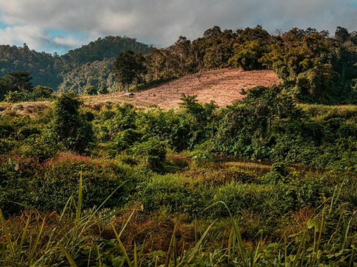 PM 2.5 เกินมาตรฐาน 22 จังหวัด PM 2.5 เกินมาตรฐาน 22 จังหวัด