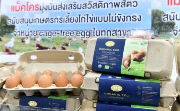 แม็คโคร จับมือพันธมิตร ผลิตไข่ไก่ออร์แกนิค รับเทรนด์ผู้บริโภค