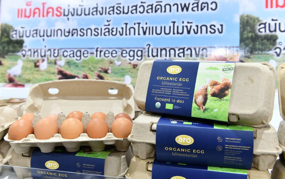 แม็คโคร จับมือพันธมิตร ผลิตไข่ไก่ออร์แกนิก