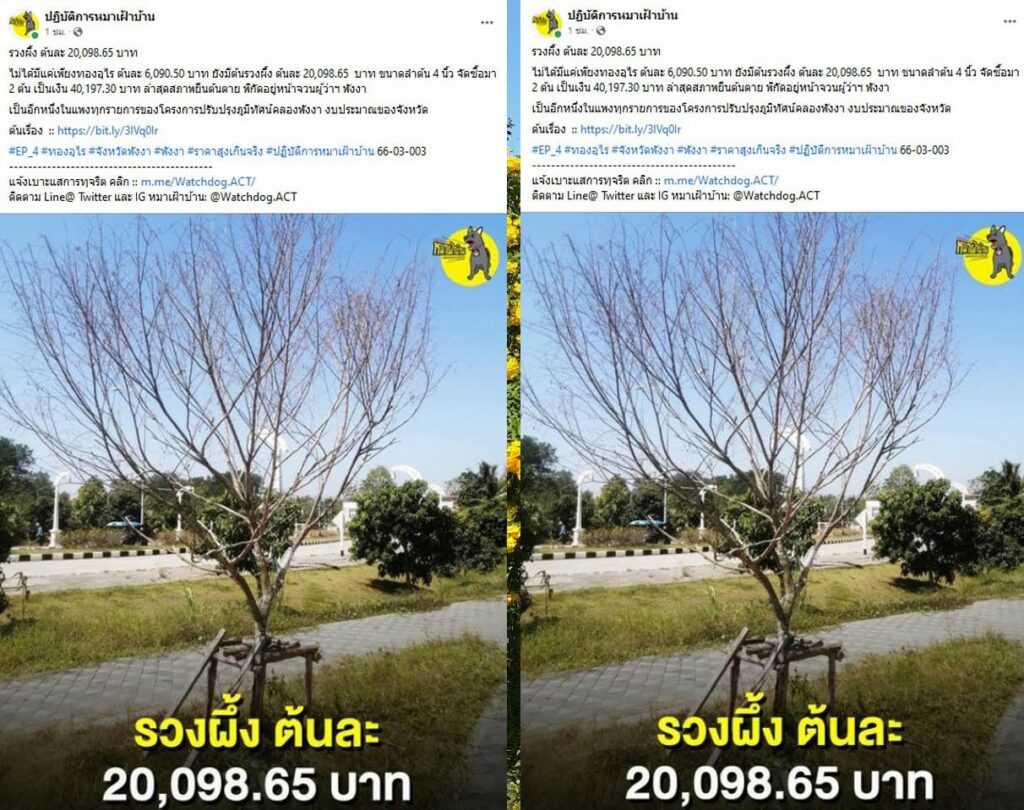 ทองอุไร