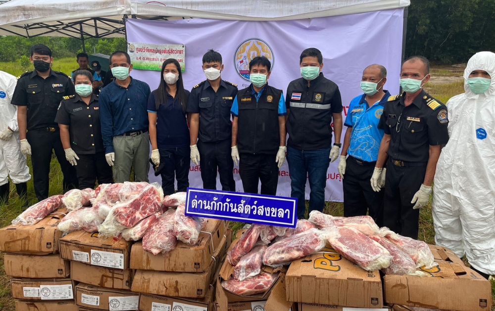 หมูเถื่อนโผล่ด่านสงขลา 30 ตัน