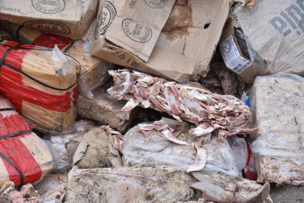 อัจฉริยะนำทีมผู้เลี้ยงหมู บุก DSI เร่งสอบ “หมูเถื่อน” โผล่ท่าเรือแหลมฉบัง
