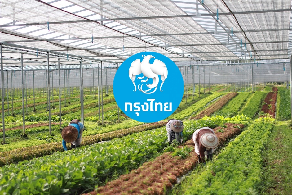 กรุงไทยเปิดตัวสินเชื่อ ESG หนุน SMEs ปรับตัว กู้ได้ 100% นาน 10 ปี “โอ้กะจู๋” นำร่อง