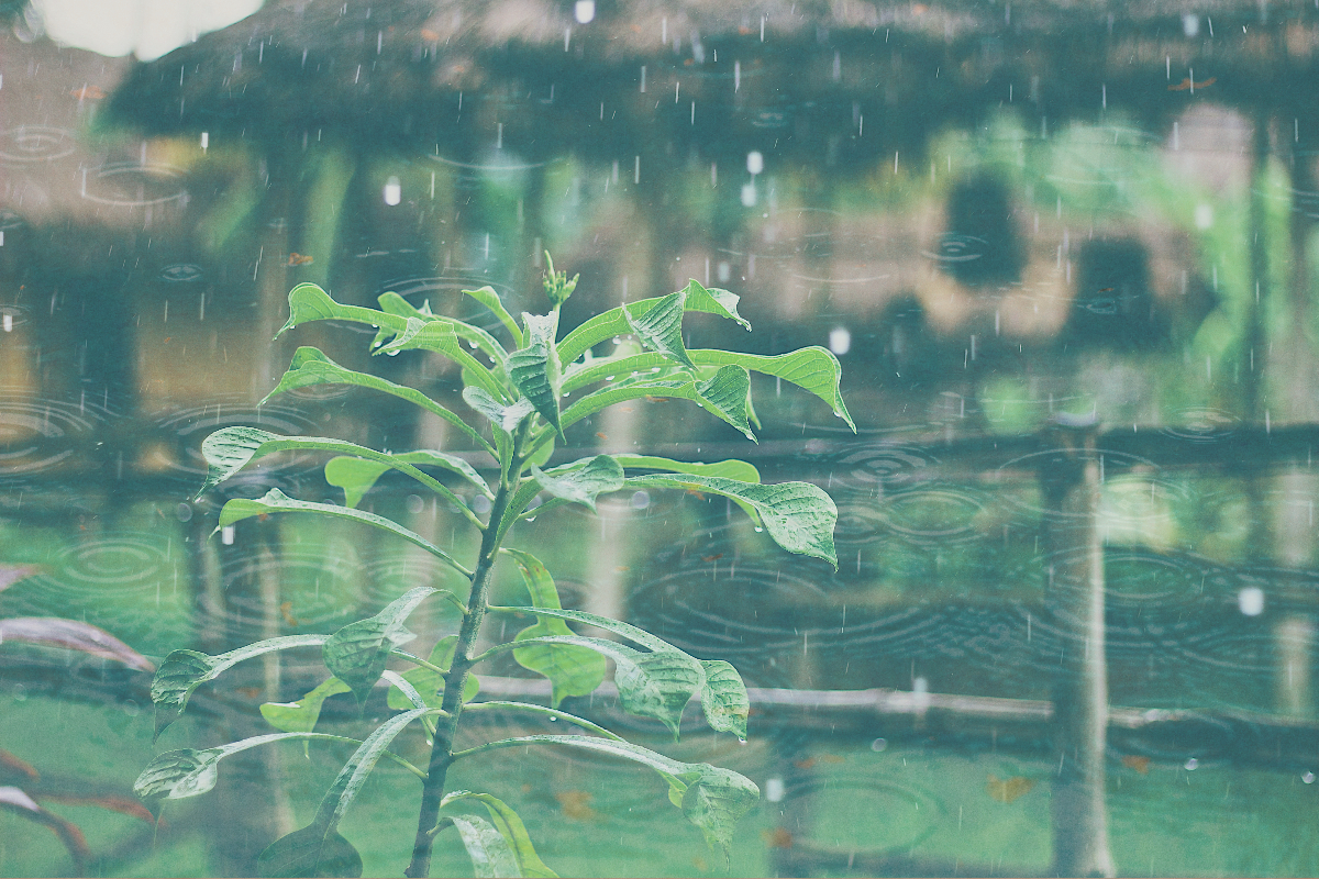 สภาพอากาศวันนี้ (11 พ.ค.) ทั่วไทยเจอฝนสูงสุด ร้อยละ 70