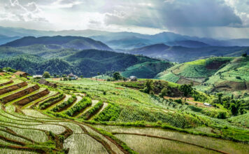 สภาพอากาศ ประเทศไทย ธรรมชาติ ดอย