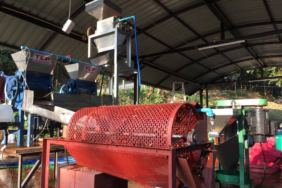 มัดรวมนวัตกรรมเครื่องจักรกลแปรรูปกาแฟ ช่วยลดต้นทุน แก้ปัญหาขาดแรงงาน