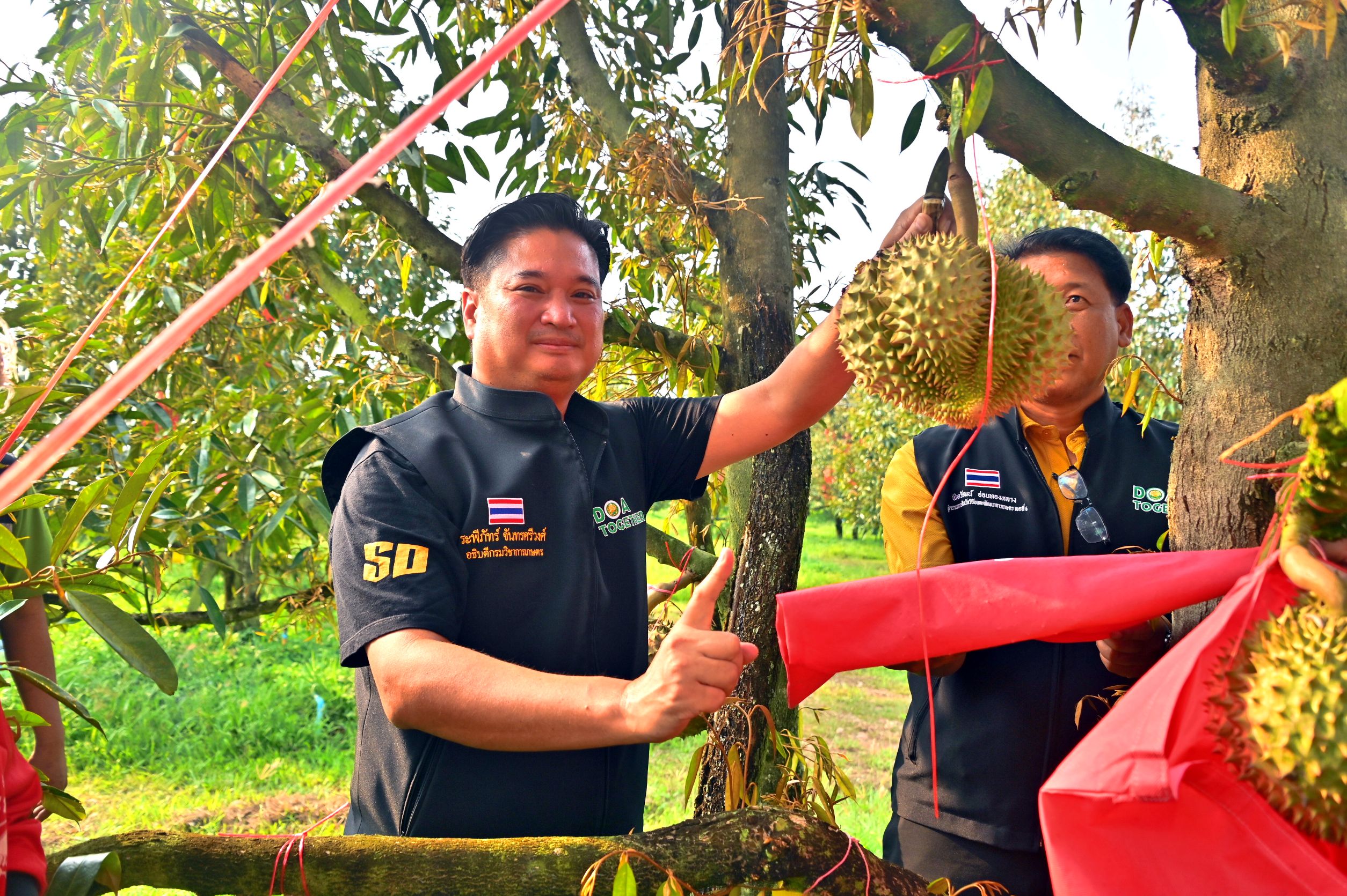 ส่งออกทุเรียนไทยไปจีน 7 แสนตันปี’65 กวาดรายได้เข้าประเทศ 1 แสนล้านแน่