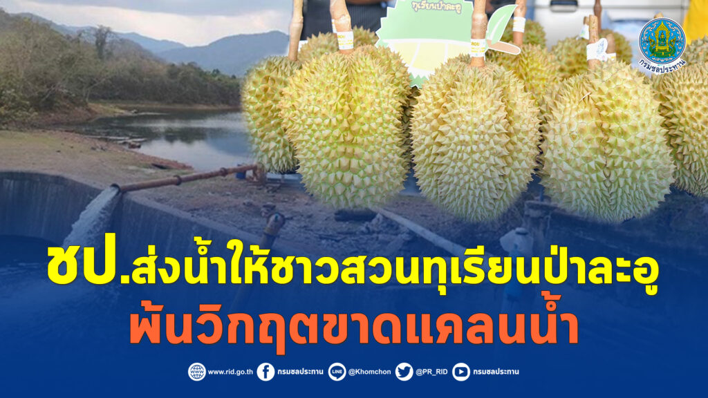 ชาวสวนทุเรียนป่าละอู พ้นวิกฤตขาดแคลนน้ำ 