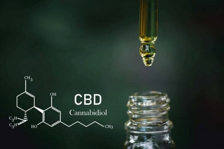 1 Weed Review ให้ความรู้เรื่องกัญชาเชิงลึกที่เป็นกลางและน่าเชื่อถือในประเทศไทย