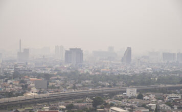ฝุ่น PM 2.5