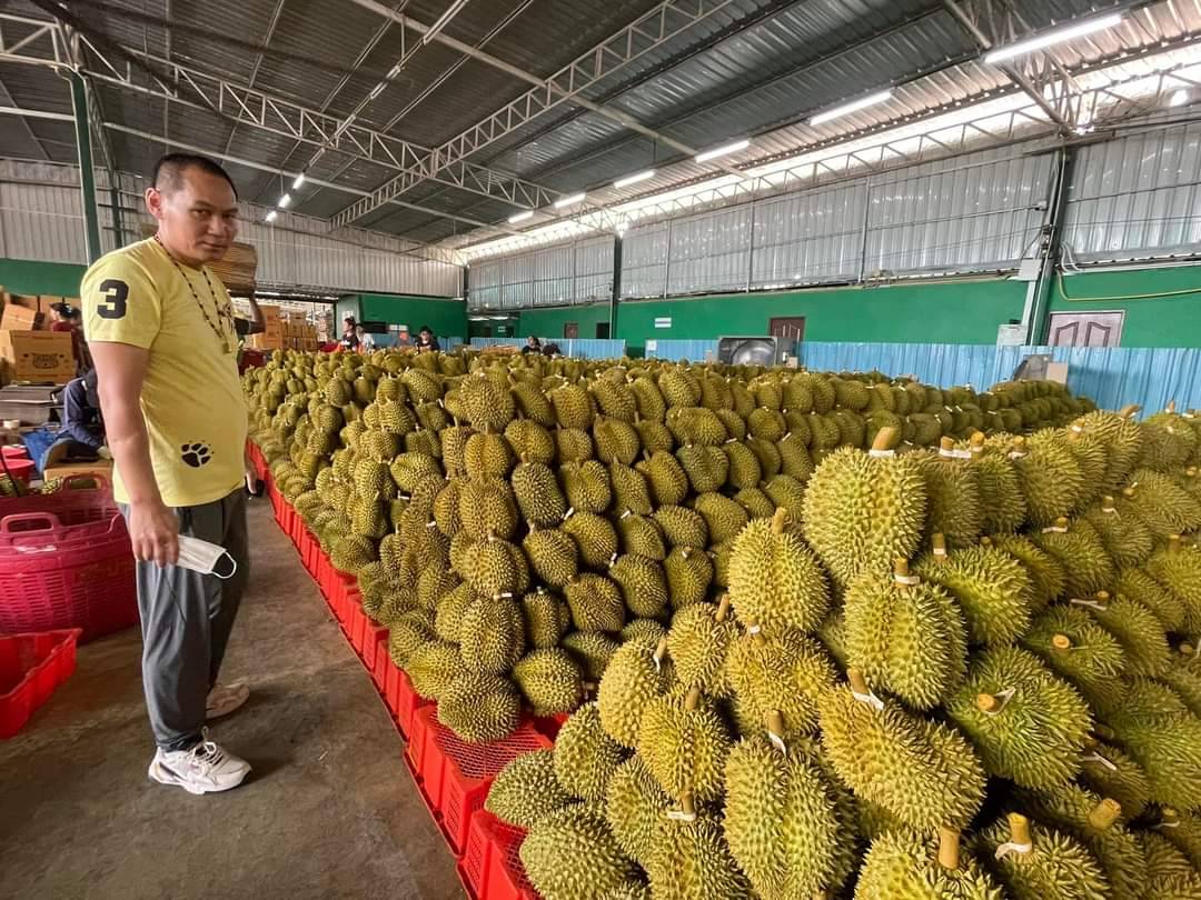 ล้งทุเรียนเมืองจันท์ ยอมรับผิดคัดทุเรียนอ่อนส่งจีน พร้อมเร่งแก้ไข