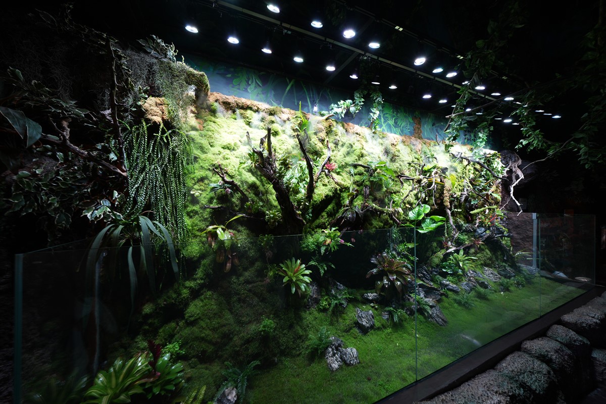 SEA LIFE Bangkok