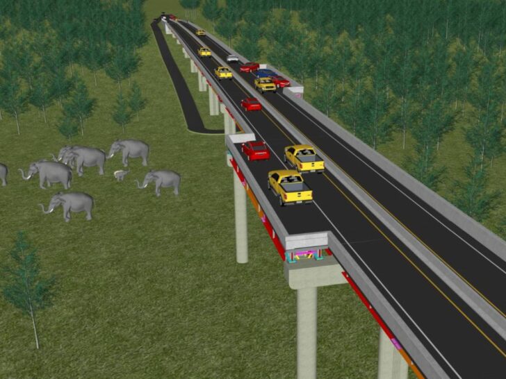 สะพานเชื่อมระบบนิเวศน์ สะพานเชื่อมระบบนิเวศน์