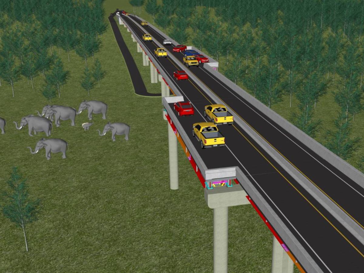 กรมทางหลวงชนบท สร้างสะพานเชื่อมระบบนิเวศ แห่งแรกในประเทศไทย