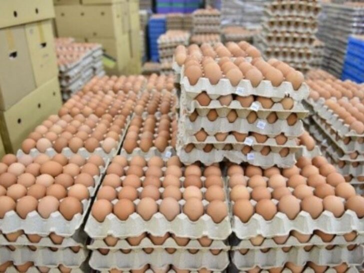ไข่ไก่ ไข่ไก่