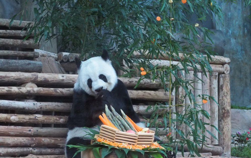 “หลินฮุ่ย” ทูตสันถวไมตรีไทย-จีน เตรียมพิสูจน์ซากหาสาเหตุการตาย