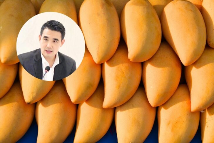 กรนิจ โนนจุ้ย มะม่วง กรนิจ โนนจุ้ย มะม่วง